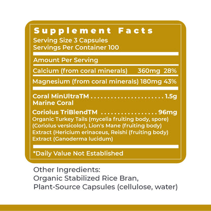 Premier Research Labs Calcium Magnesium Plus – Calcium Magnesium Supplement with Mushroom Complex | 300 Vegetarian Capsules