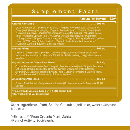 Premier Research Labs Multi-Vitamin – Immune, Brain & Heart Support | Vegan, Gluten & Soy Free | 120 Capsules