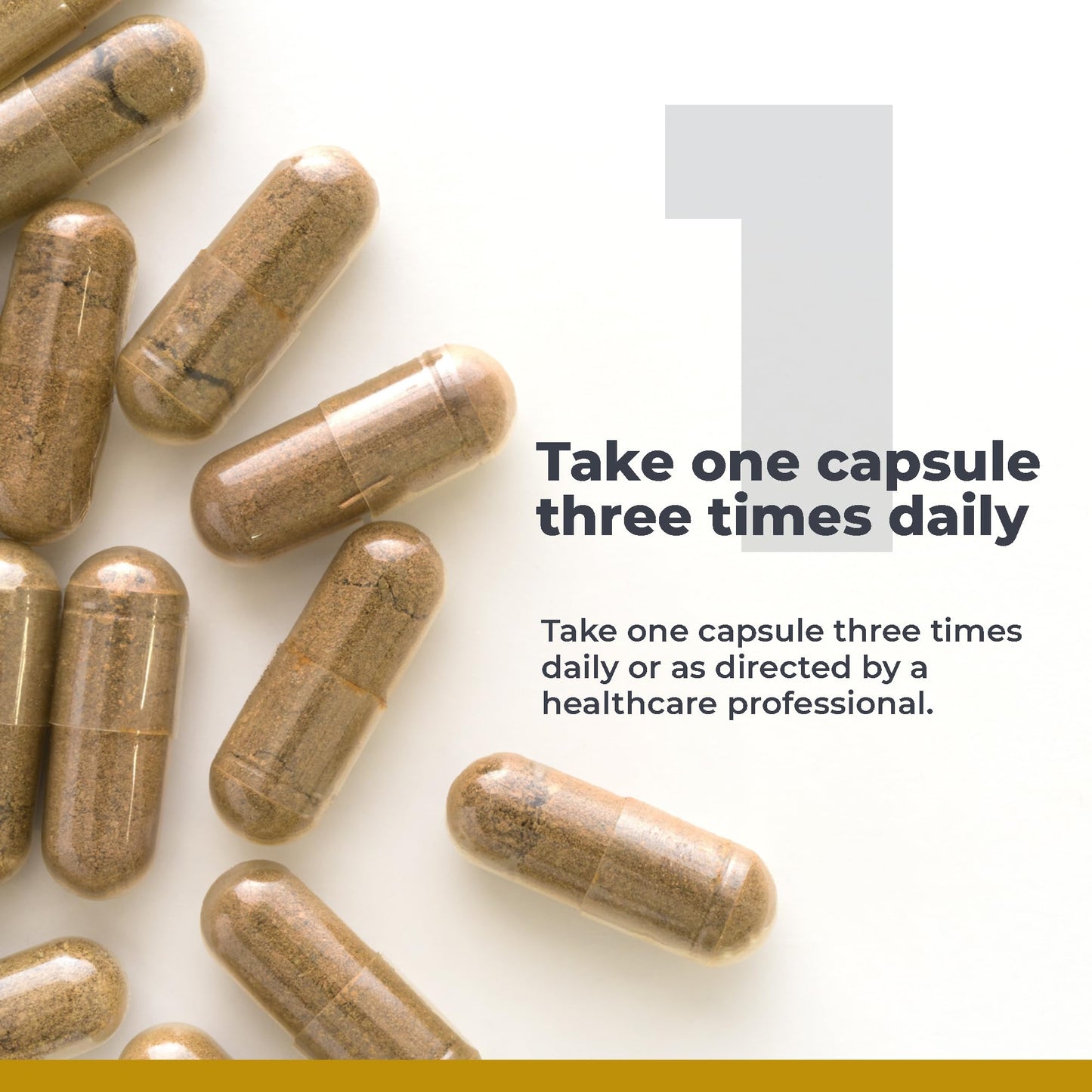 Premier Research Labs RenaVen | Kidney Support with Fermented Cordyceps - 60 Plant-Source Capsules