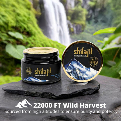 Premium Himalayan Shilajit Resin – Lab-Tested Fulvic Acid & Mineral Complex, 30g Jar