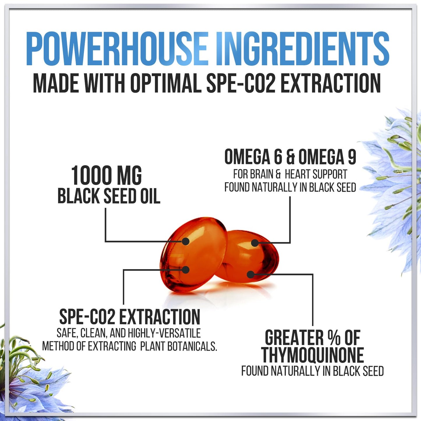 Black Seed Oil Softgels 1000mg - Premium Nigella Sativa Blackseed, Immune Support & Skin Health