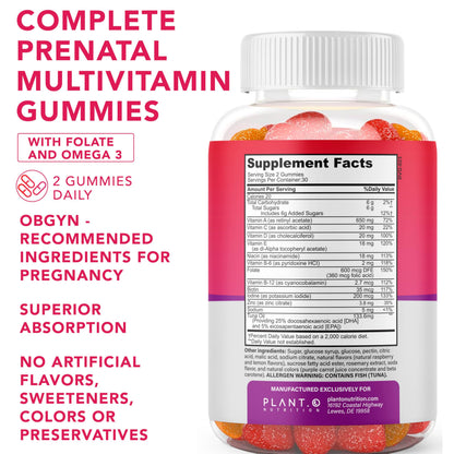 Prenatal Gummies for Women with DHA, Folate, Vitamin B & D | Fetal & Neural Support