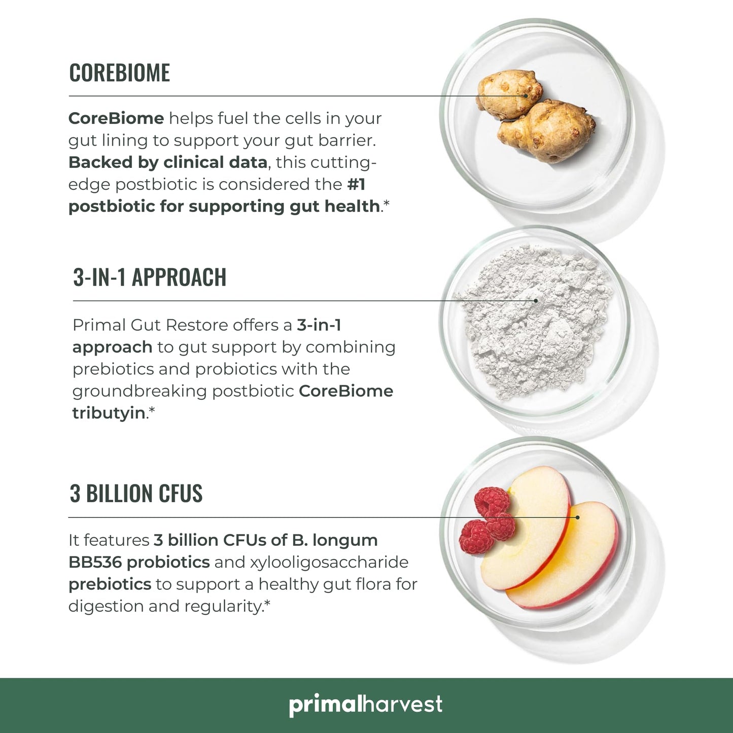 Primal Harvest 2 Pack Primal Gut Restore for Digestive Health | Prebiotics Probiotics Postbiotics (60 CT)