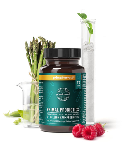Primal Harvest Probiotics for Women & Men – Daily Probiotic Supplement, 12 Strains, 30 Capsules