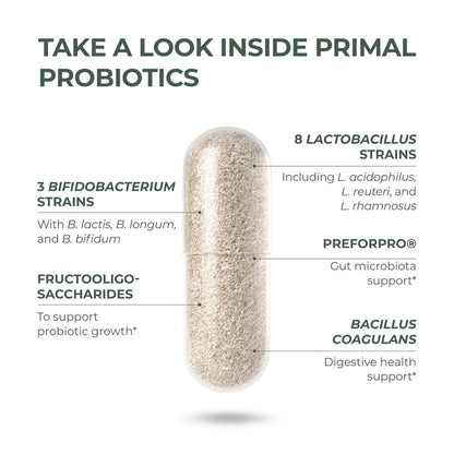 Primal Harvest Probiotics for Women and Men – Shelf-Stable Daily Prebiotic Probiotic 60 Capsules (2 Pack)