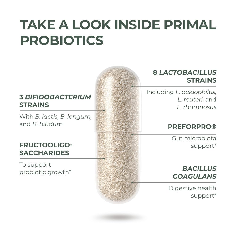 Primal Harvest Probiotics for Women and Men – Shelf-Stable Daily Prebiotic Probiotic 60 Capsules (2 Pack)