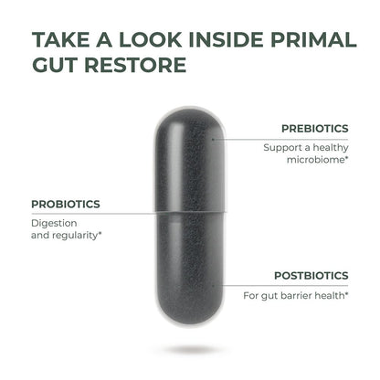 Primal Harvest Restore Gut Health – PRE/PRO/Postbiotics, 60 CT | Digestive Support for Women & Men