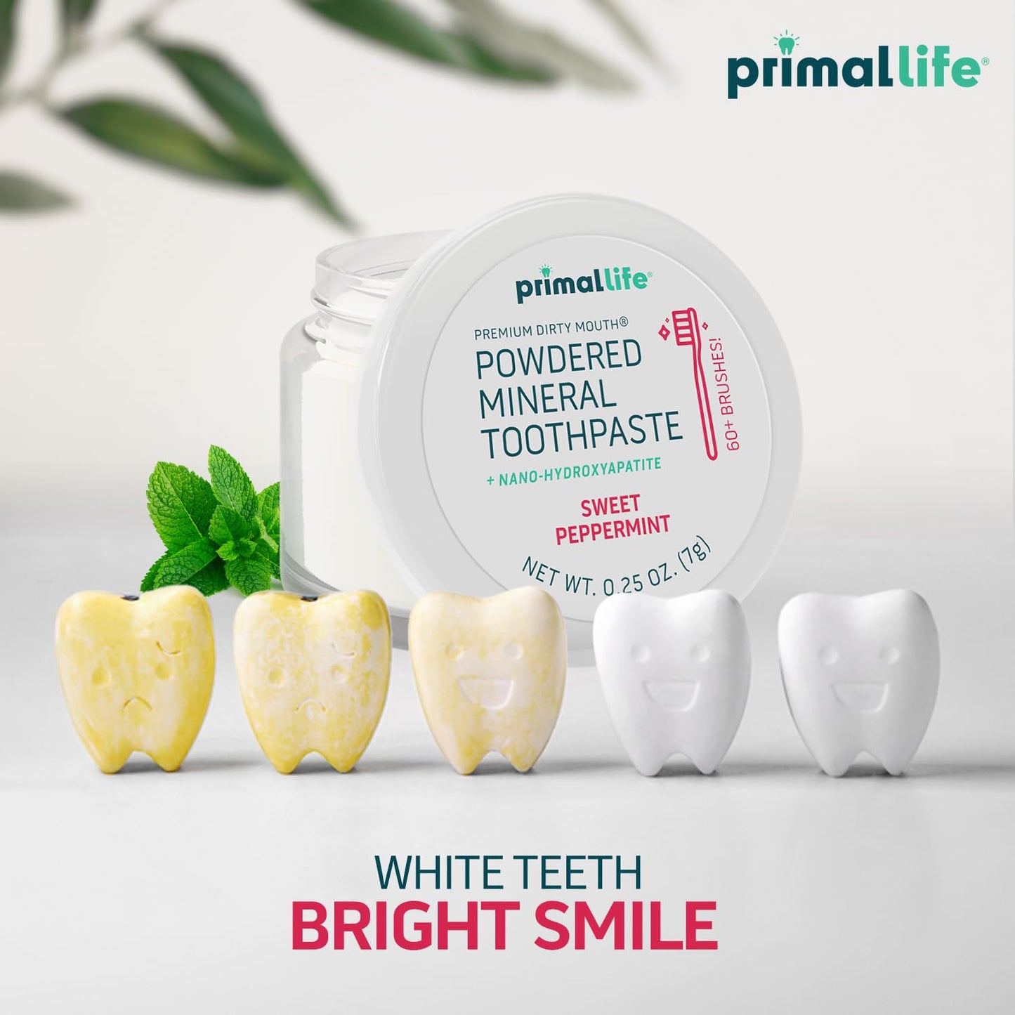 Primal Life Organics Dirty Mouth Toothpowder – Vegan & Organic, 0.25 oz