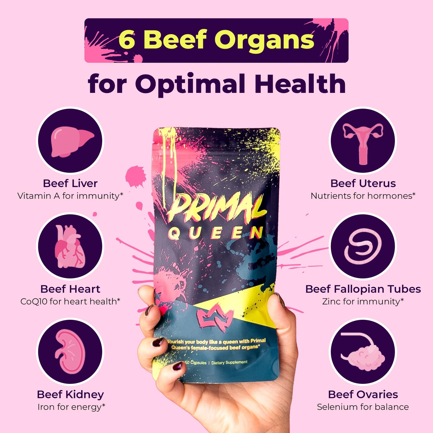 Primal Queen: Female Beef Organ Superfood - Grass-Fed (Liver, Kidney, Heart & More)