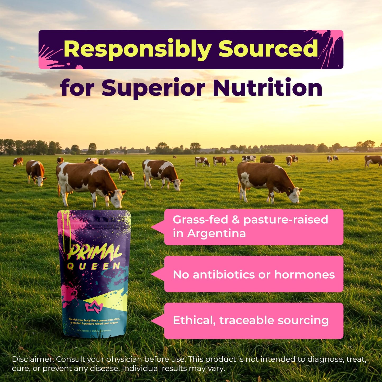 Primal Queen: Female Beef Organ Superfood - Grass-Fed (Liver, Kidney, Heart & More)