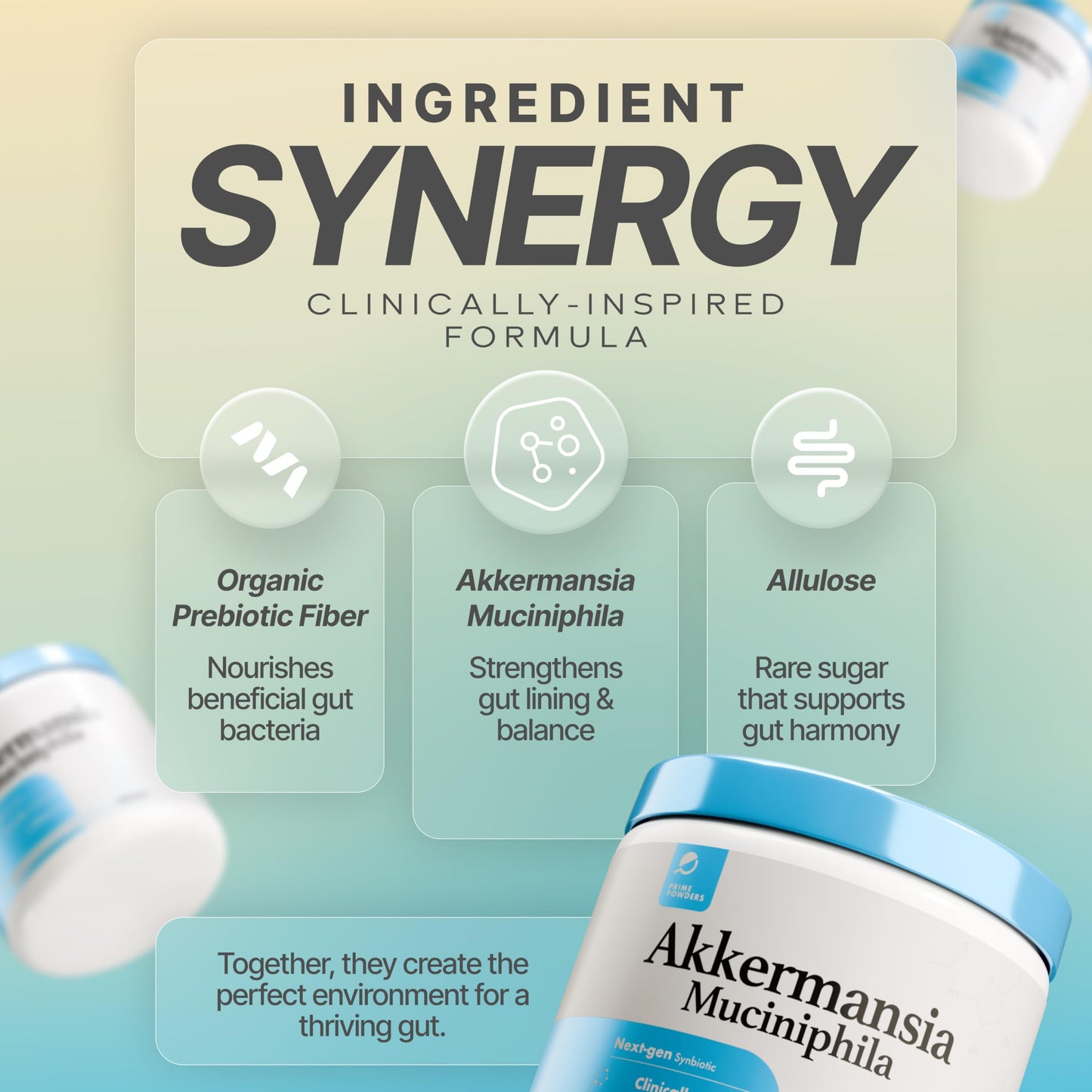 Prime Powders Akkermansia Powder | 5 Billion AFU per Scoop, 93 Servings | Akkermansia Muciniphila with Prebiotic Fiber