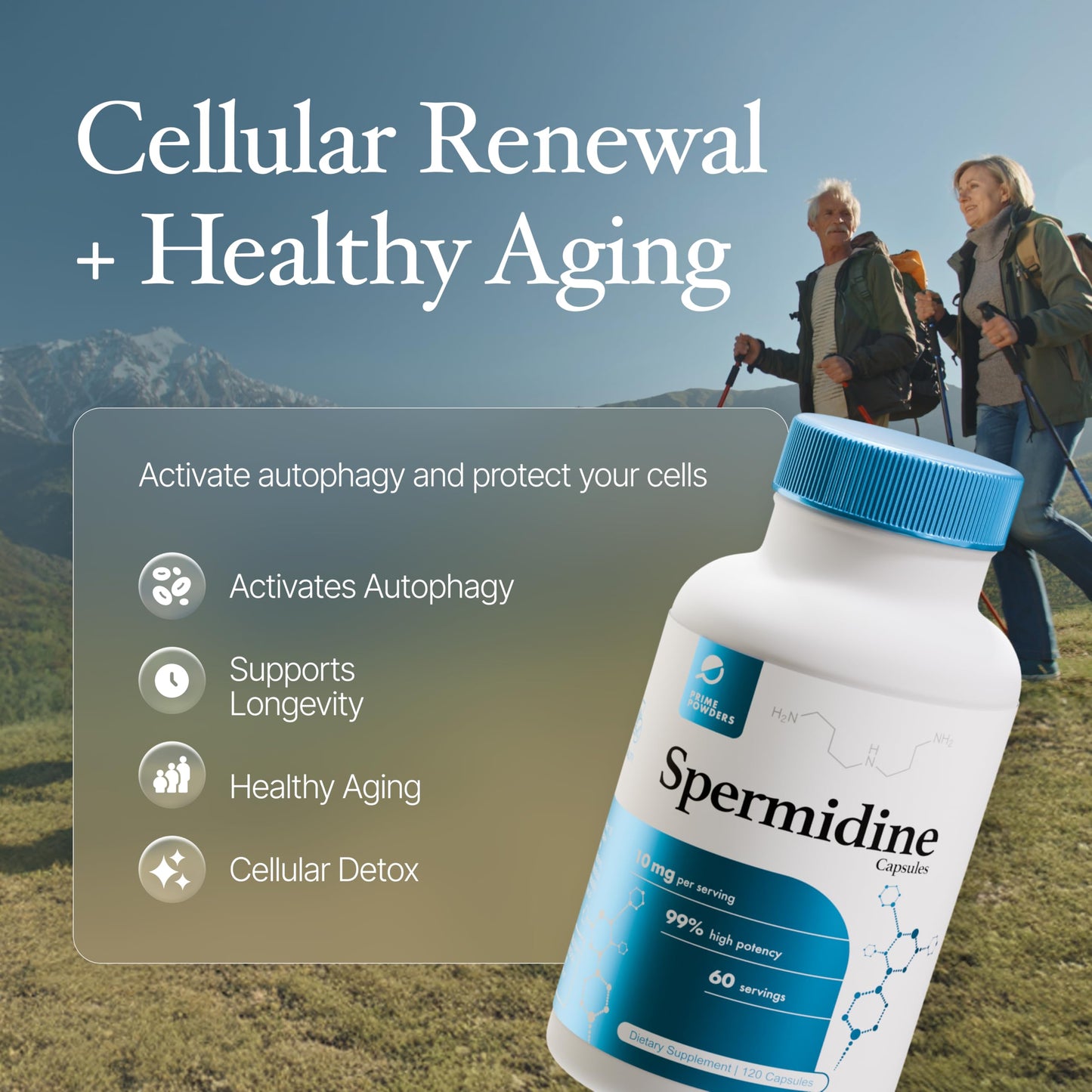 Prime Powders Spermidine Capsules – Gluten Free, 99% Purity, 10 mg Serving, DNA Telomere Support