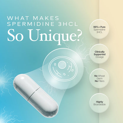 Prime Powders Spermidine Capsules – Gluten Free, 99% Purity, 10 mg Serving, DNA Telomere Support