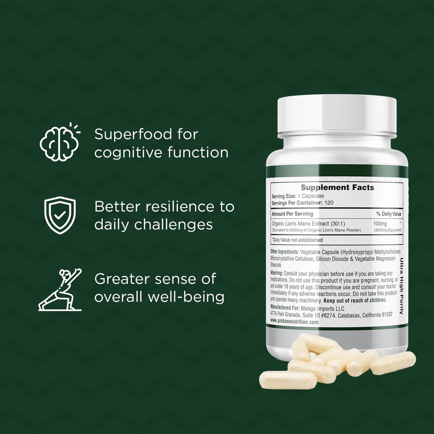 Probase Nutrition Lions Mane Cognition – 30x Potency, 4-Month Supply