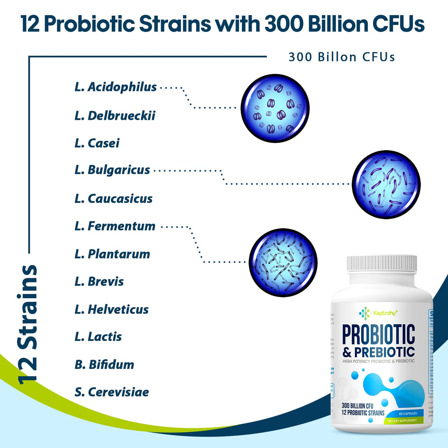 Probiotics for Women & Men – 300 Billion CFU from 12 Strains + Organic Prebiotics | 180 Capsules
