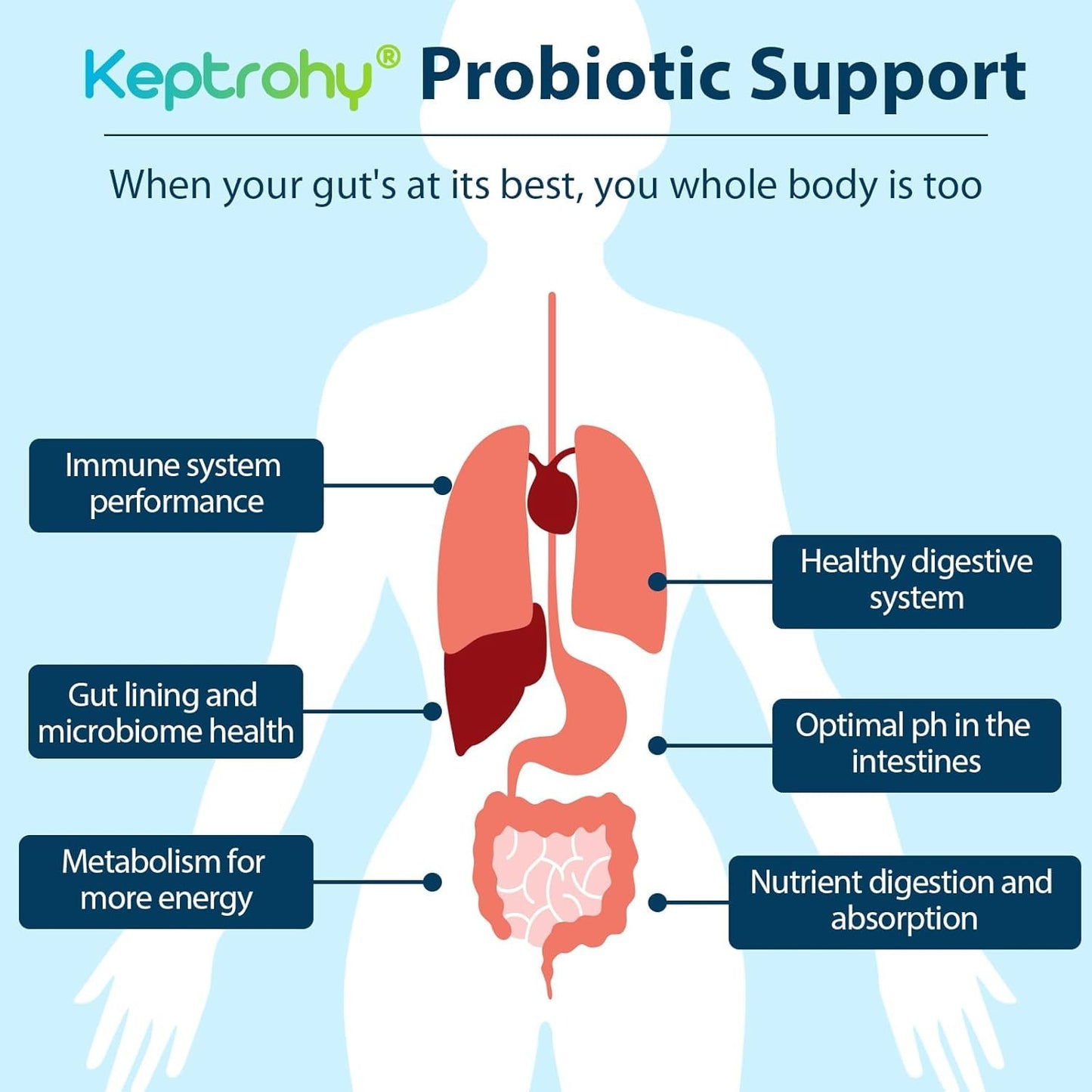 Probiotics for Women & Men | 300B CFU + Organic Prebiotics | 120 Caps