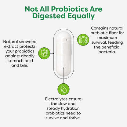 Probulin Colon Support Probiotic - 20B CFU, 90 Vegan Capsules