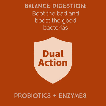 New Bacillus B3 Probiotic Complex & Enzymes – 60 Capsules (100% Spore-Based SBO)