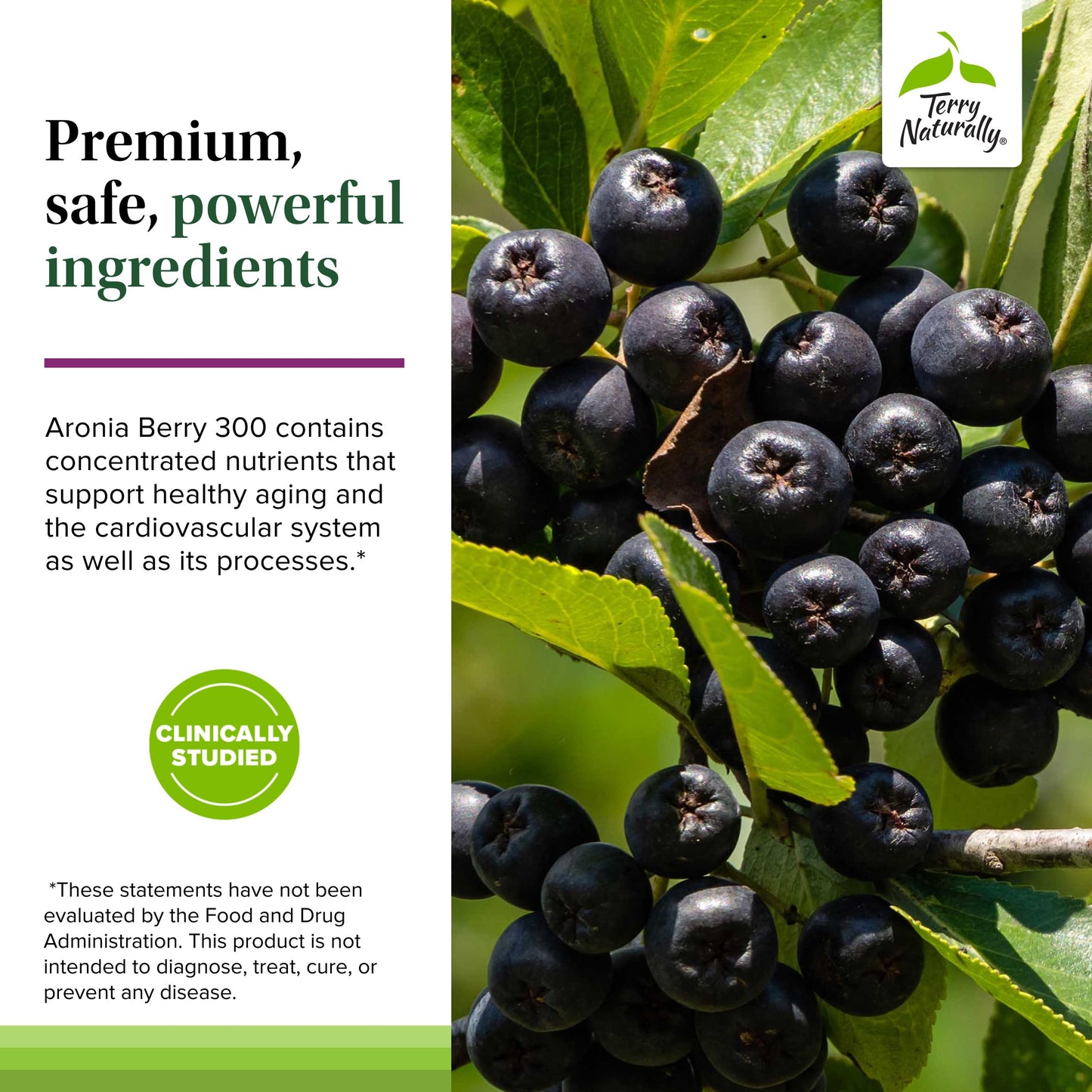 Terry Naturally Aronia Berry 300 – Antioxidant Support for Heart & Cellular Health – Vegan & Gluten-Free – 30 Capsules