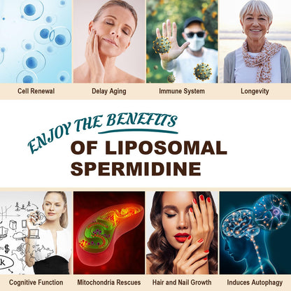 Sohahila Spermidine Supplement 15 MG – Liposomal, 99% Purity, 180 Softgels with Fermented Wheat Germ Extract