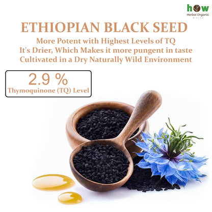 Black Seed Oil 8 oz – Cold Pressed Ethiopian Nigella Sativa (3X Thymoquinone) in Glass