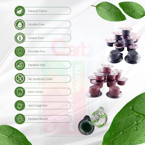 Mint Flavored Professional Strength Tooth Polish (Coarse) - 14 Cups, USA Made