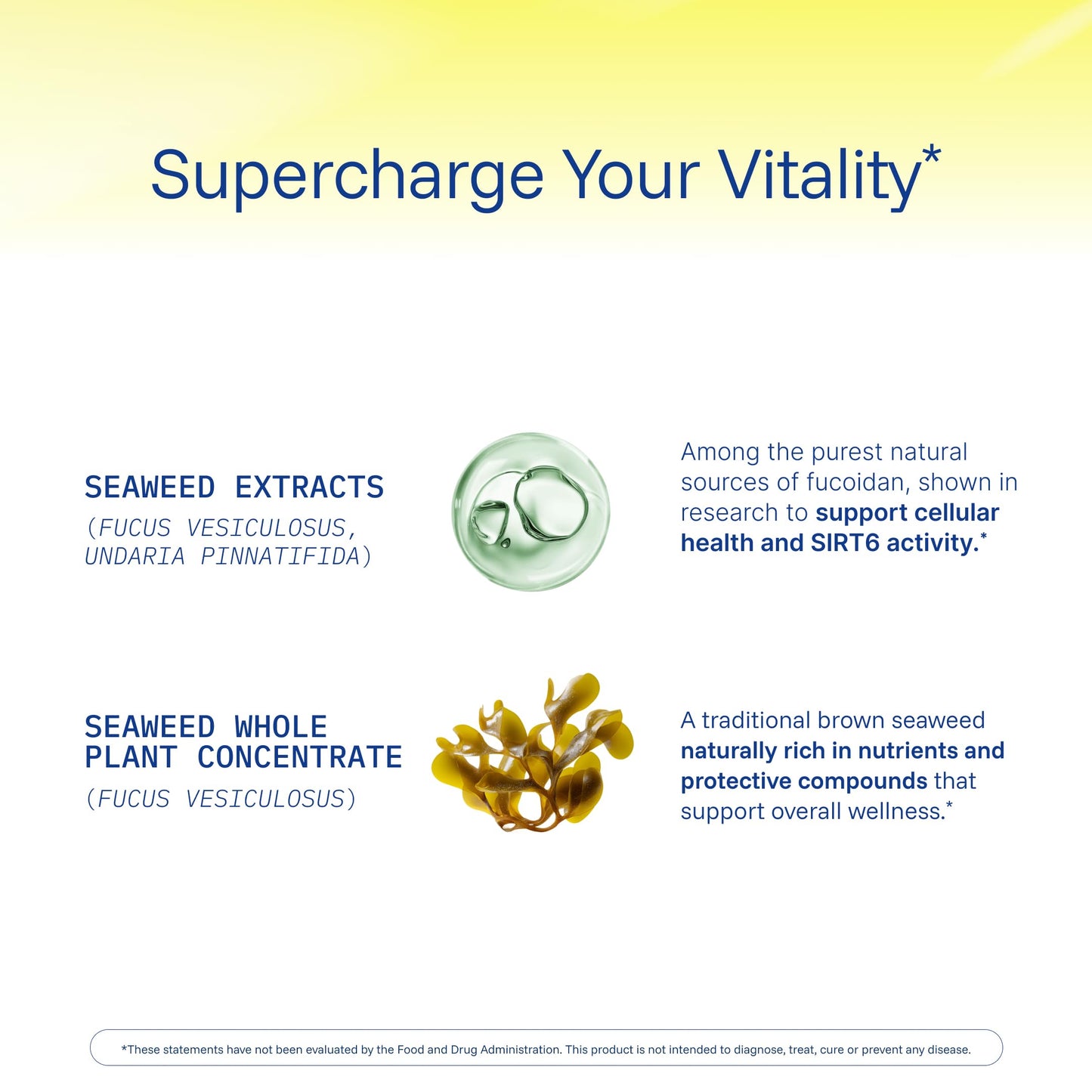 ProHealth Sirtuin 6 Activator - 60 Capsules | Longevity & DNA Support