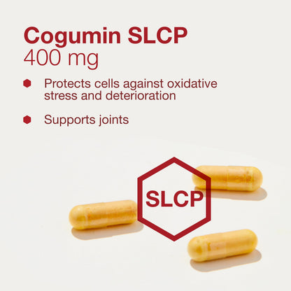 Protocol Cogumin SLCP 400mg Curcumin – Neurological & Cognitive Support – 50 Veg Capsules