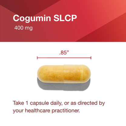 Protocol Cogumin SLCP 400mg Curcumin – Neurological & Cognitive Support – 50 Veg Capsules