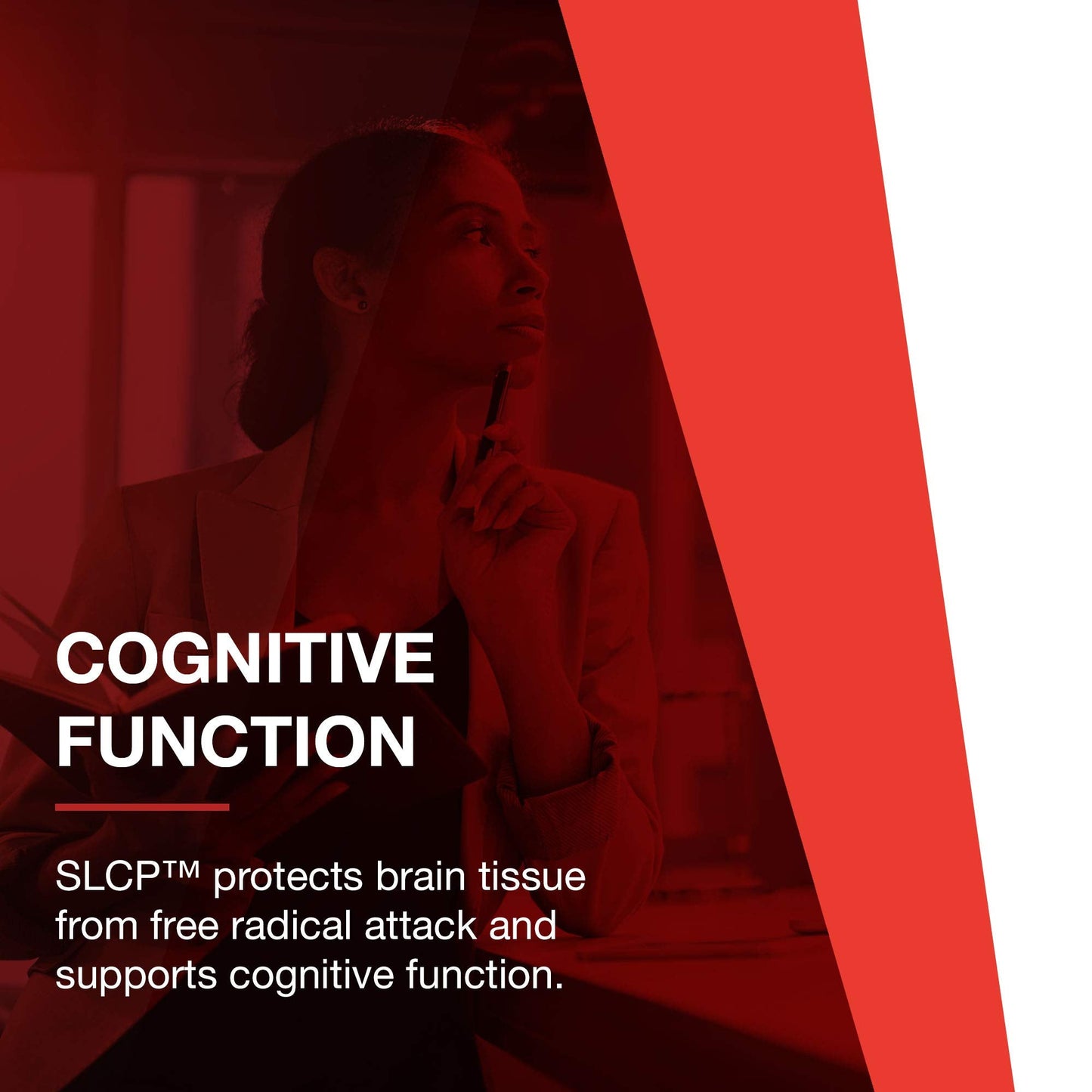 Protocol Cogumin SLCP 400mg Curcumin – Neurological & Cognitive Support – 50 Veg Capsules