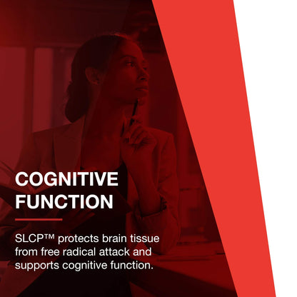 Protocol Cogumin SLCP 400mg Curcumin – Neurological & Cognitive Support – 50 Veg Capsules