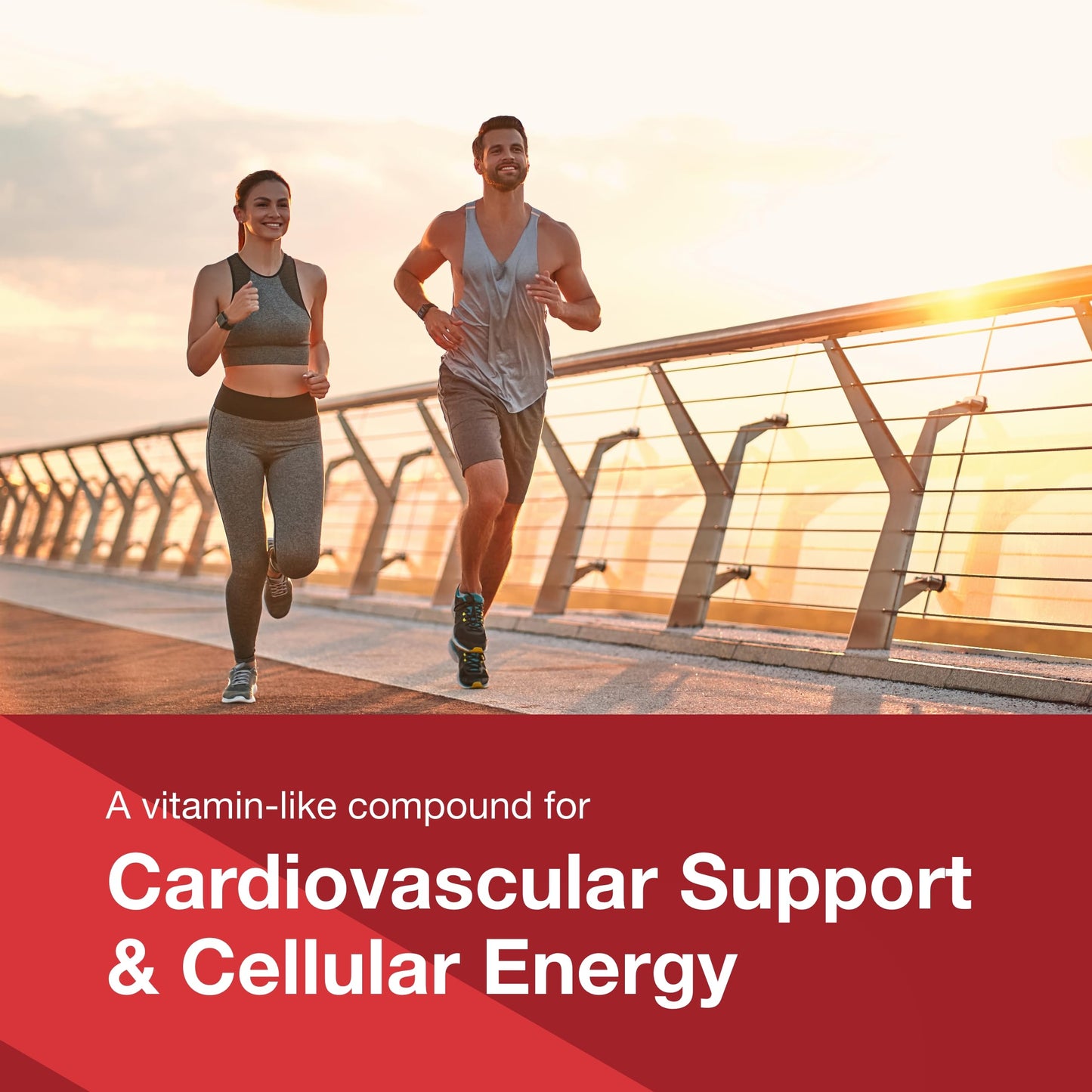 Protocol CoQ10 200 mg | Heart Health Support | Vegan & Non-GMO | 30 Veg Capsules