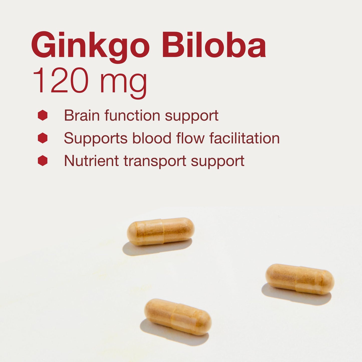 Protocol Ginkgo Biloba 120 mg with Eleuthero – Brain Health & Circulation | 100 Veg Capsules