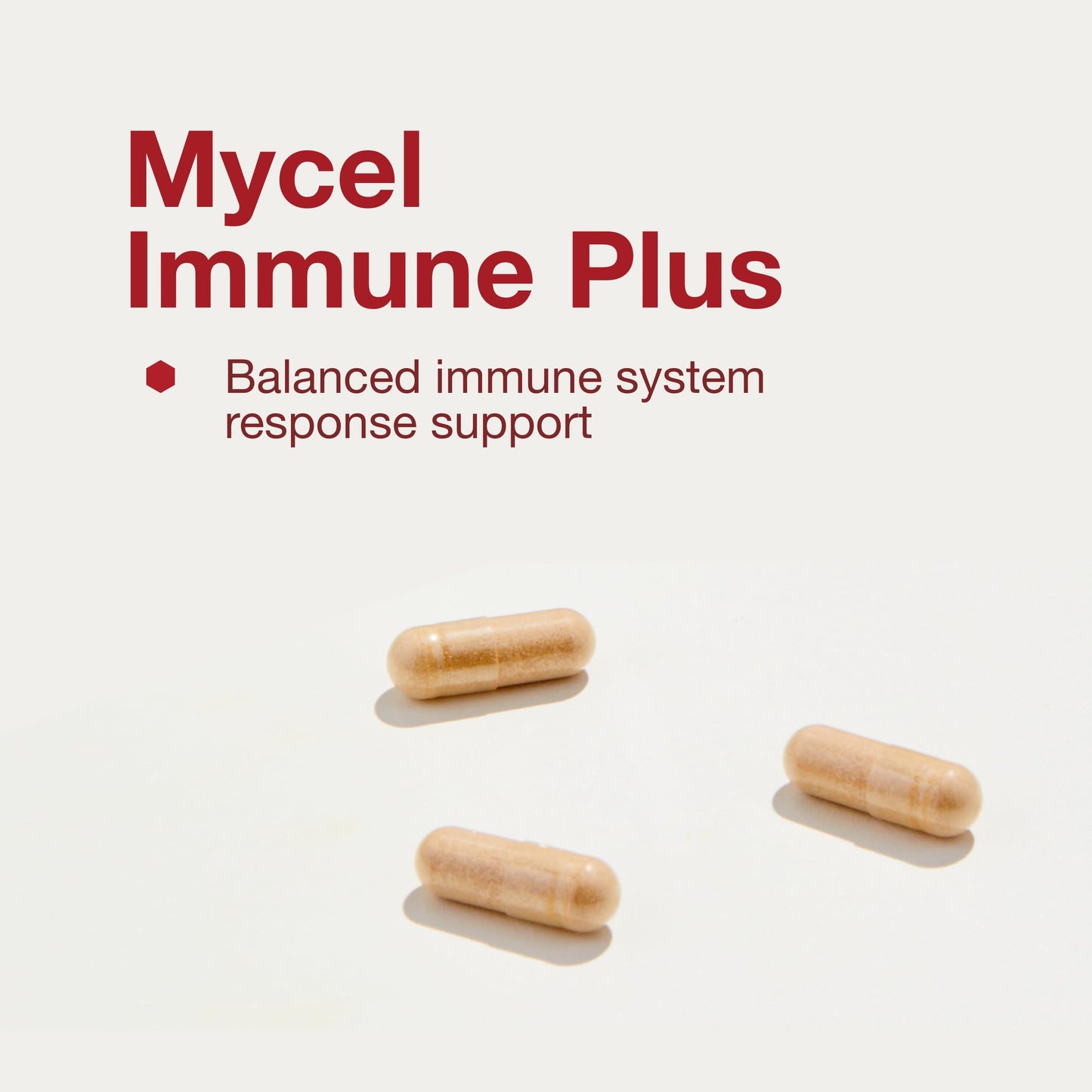 Protocol Mycel Immune Plus – Mushroom Blend with Astragalus