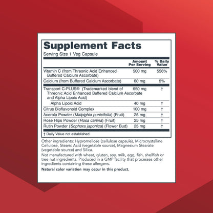 Protocol Protosorb C 500 - Highly Absorbable Vitamin C - for Immune System & Bone Health Supplement* - with Alpha-Lipoic Acid - Buffered, Non-Acidic Vitamin C - 100 Veg Caps