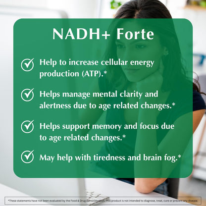 PROVITA NADH+ Forte – NADH, CoQ10 & Chlorophyll for Energy, Focus & Brain Health | Vegan Capsules