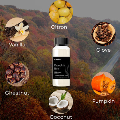 Pumpkin Boo Essential Oil – 120ml Premium Fall Fragrance for Diffusers, Candles & DIY