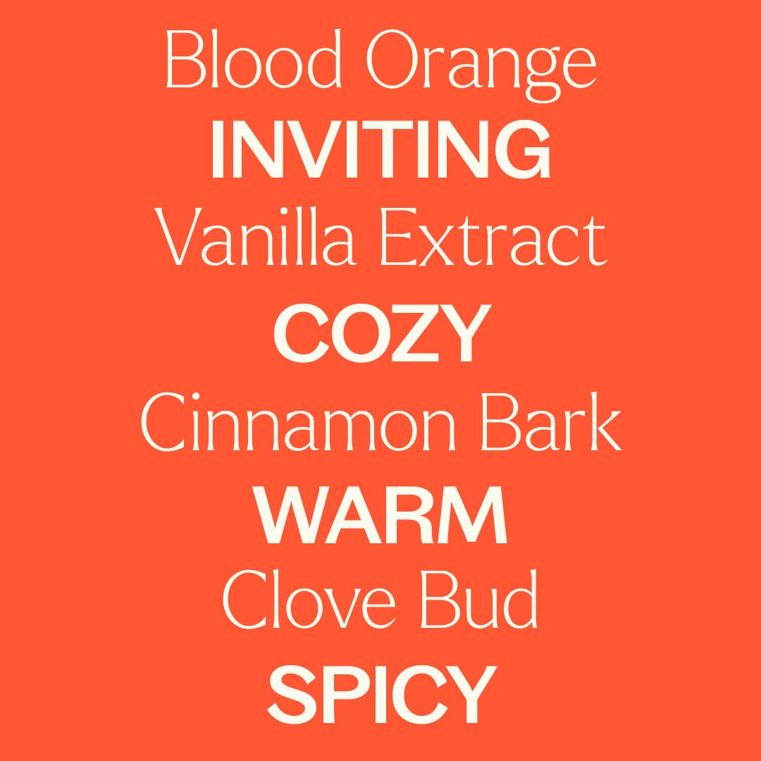 Plant Therapy Pumpkin Spice Fall Essential Oil Blend 10 mL – Warm & Cozy Scent