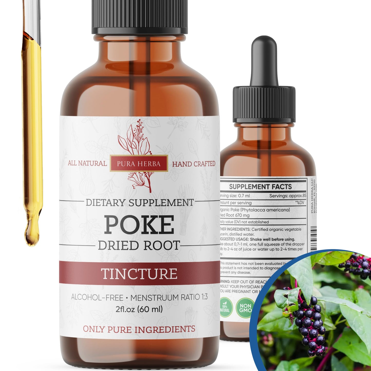 Pura Herba Organic Poke Root Tincture | Immune & Lymphatic Support | 2 oz | Made in USA