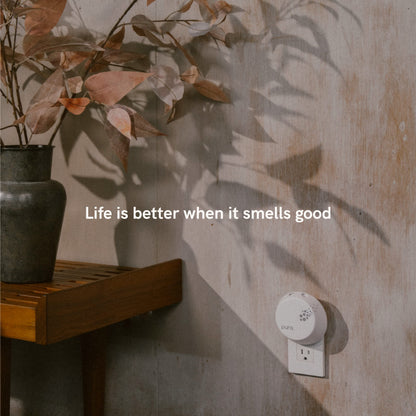 Pura Smart Home Air Diffuser Fragrance Refill — 120 Hours, 4 Pack, White Tea No.1