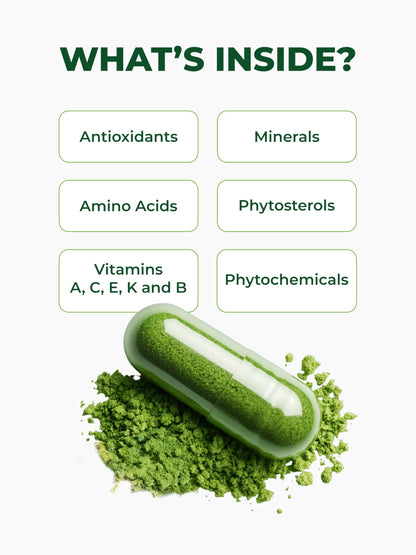PURA VIDA MORINGA Capsules Single Origin Moringa Powder Organic. Pure Moringa Leaf. Energy, Metabolism, & Immune Support. 120ct. 500mg Caps.