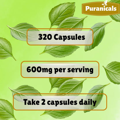 Puranicals Holy Basil Premium 320 Capsules – 600 mg per Serving | Non-GMO, Gluten-Free