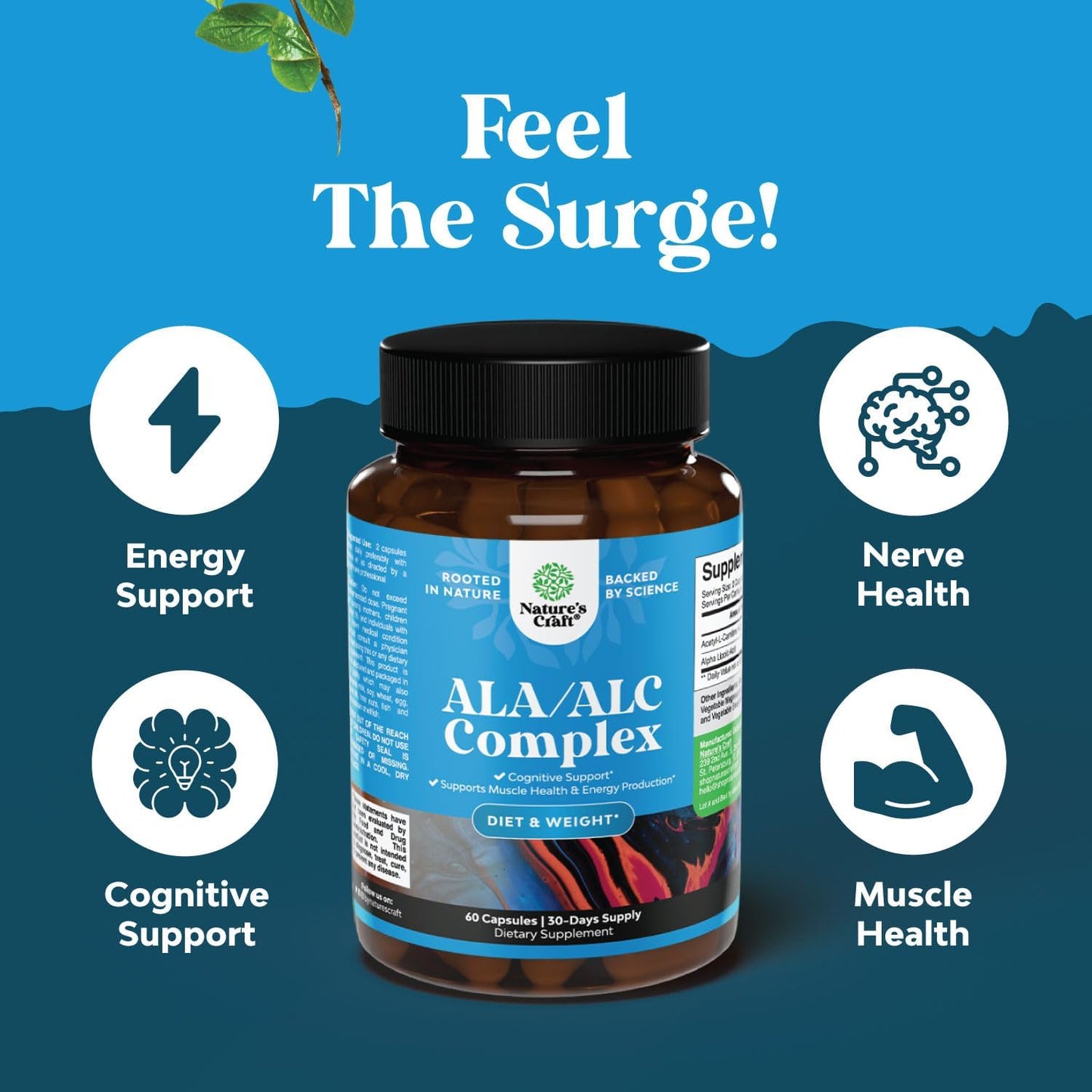 Alpha Lipoic Acid + Acetyl-L-Carnitine Supplement – Memory, Energy & Metabolism (60 Capsules)