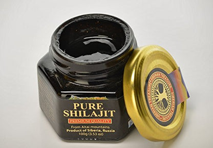 Pure Authentic Shilajit Resin – Siberian Treasure, 100 g (3.5 oz), Altai Mountains