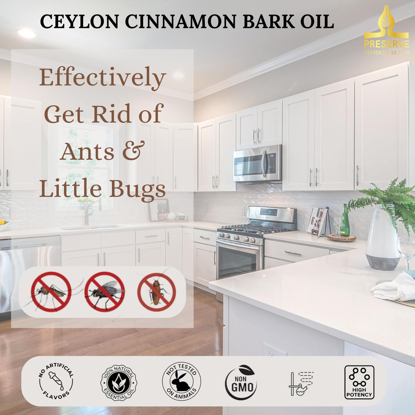 Pure Ceylon Cinnamon Bark Essential Oil - GI Certified G2/76/340, 100% Ceylon True Cinnamon Extract, Therapeutic Grade, 10ml
