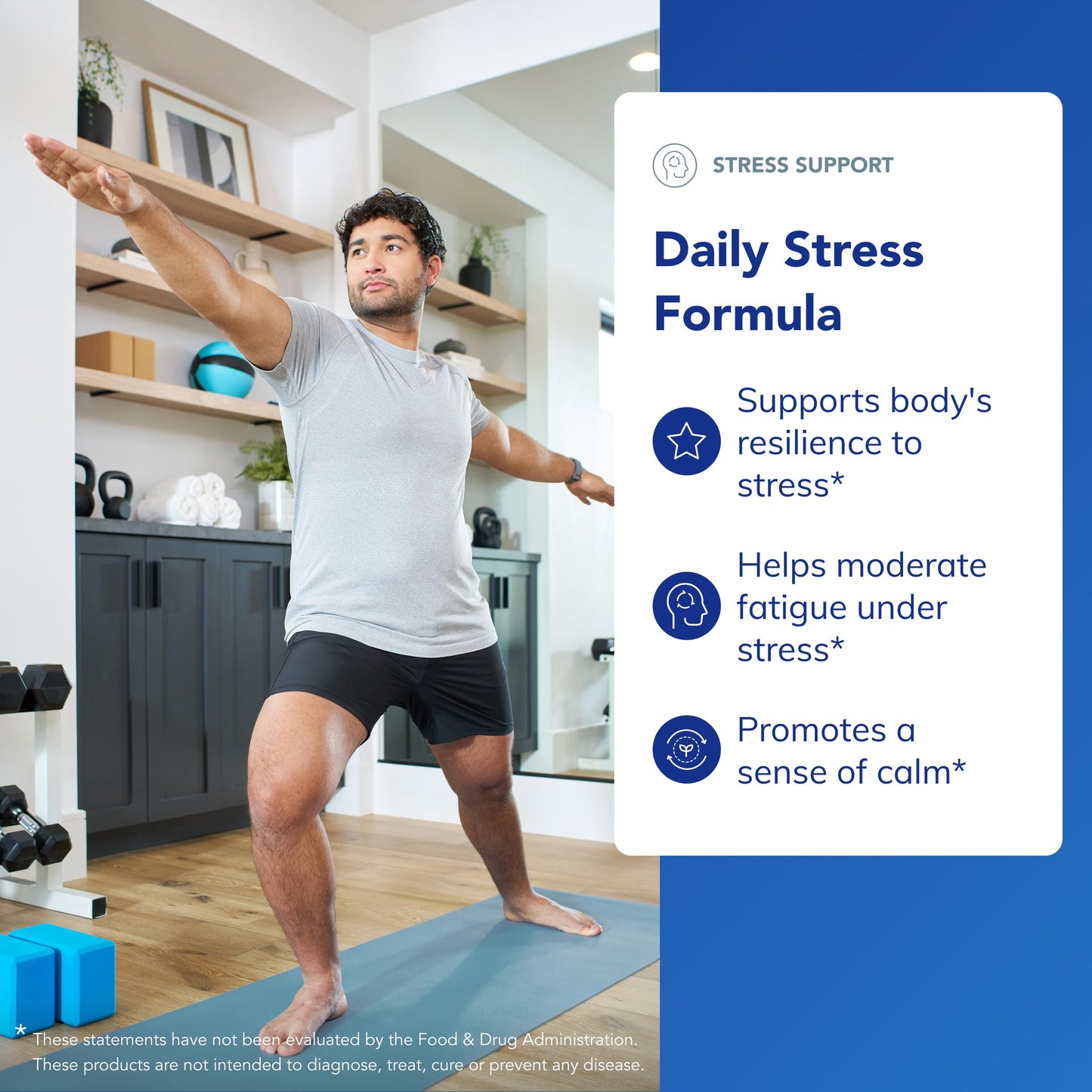 Pure Encapsulations Daily Stress Formula | Promotes Relaxation & Supports Occasional Stress | 90 Capsules