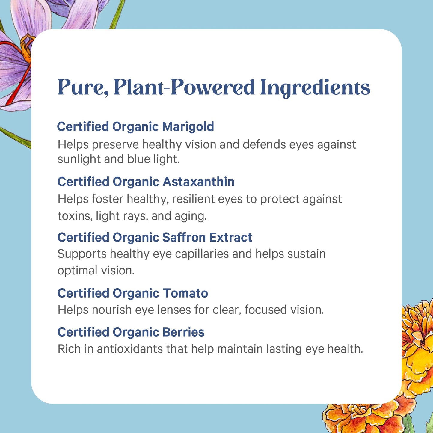 PURE SYNERGY Eye Protector — 100% Natural Vegan Eye Health Supplement (60 Capsules)