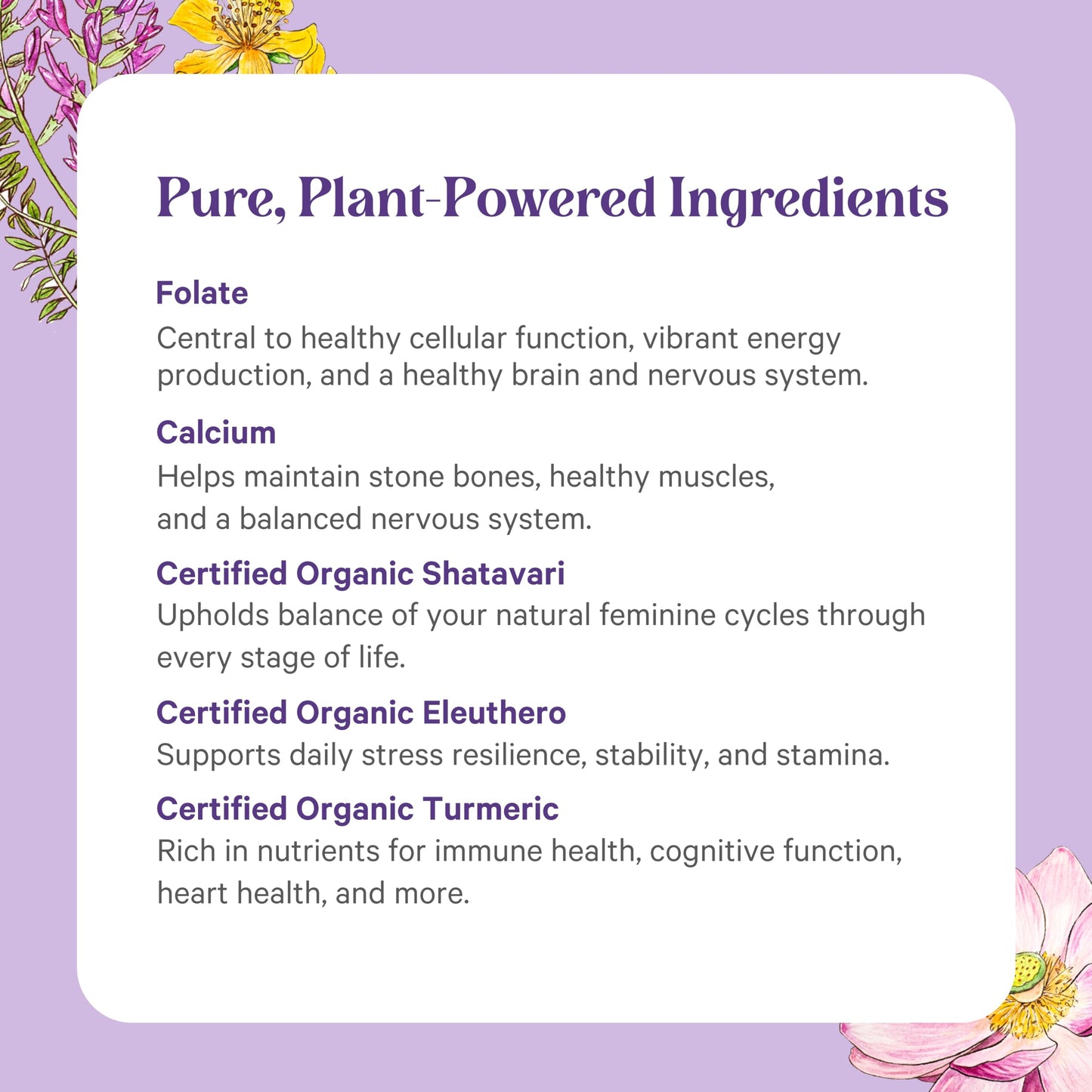 PURE SYNERGY Vita-Min-Herb for Women | Organic Whole-Food Multivitamin (120 Tablets)