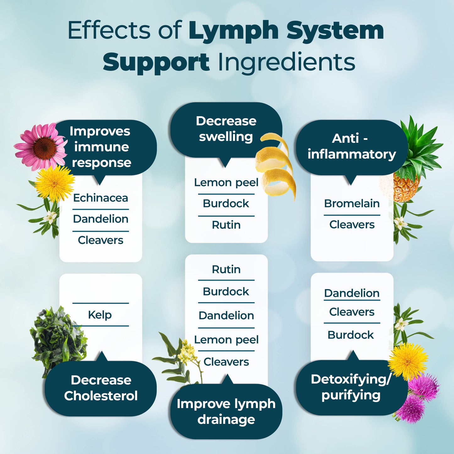 PUREHEALTH RESEARCH Lymph System Support — Lymphatic Drainage Supplement for Women & Men | 360 Capsules