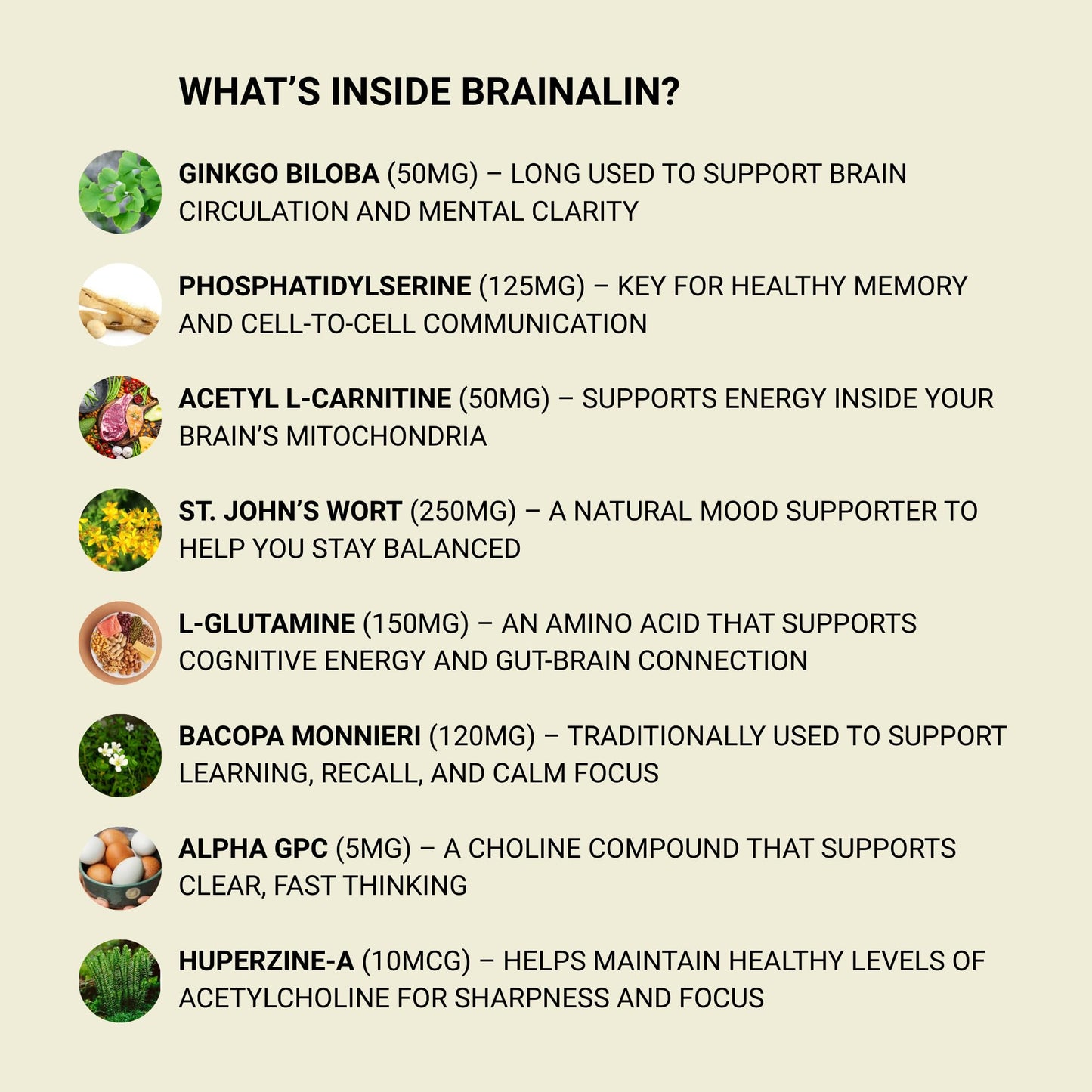 Puridian Brain Supplement for Memory, Focus & Concentration | Brainalin Nootropic Capsules | Non-GMO & Caffeine-Free
